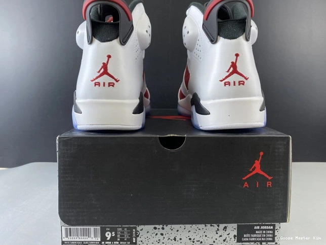 384664-160 6 JORDAN 2014 'CARMINE' RETRO AIR 0824